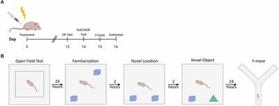 Cancer treatment induces neuroinflammation and behavioral deficits in mice